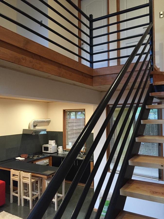 Loft Pucon Aparthotel Exterior photo