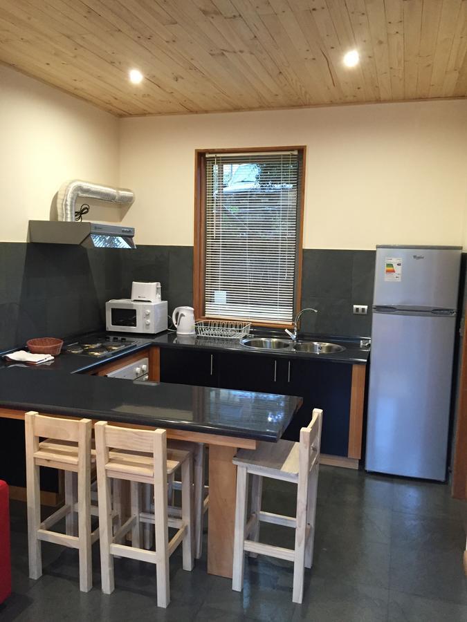 Loft Pucon Aparthotel Exterior photo